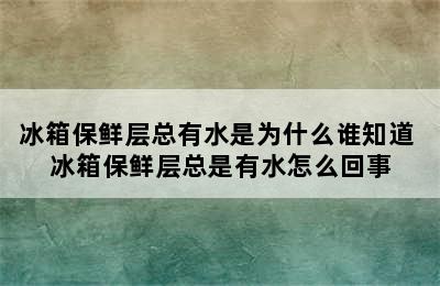 冰箱保鲜层总有水是为什么谁知道 冰箱保鲜层总是有水怎么回事